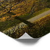 Trees & Fog, Poster (Hoek)