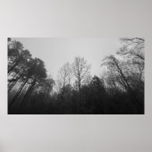 Trees & Fog,  Poster (Devant)