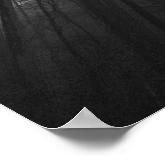 Trees & Fog,  Poster (Coin)