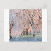 Trees Ice bedekt Willow Briefkaart (Voorkant)