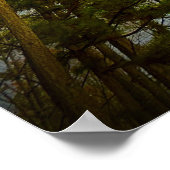 Trees in November,  Poster (Hoek)