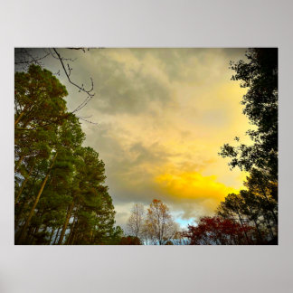 Trees in November,  Poster