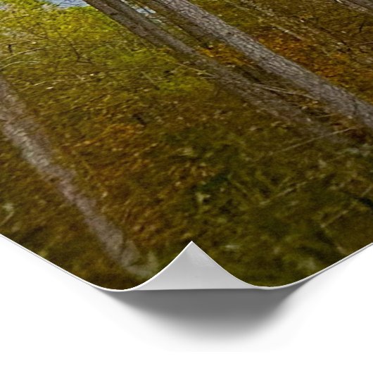 Trees in November,  Poster (Hoek)