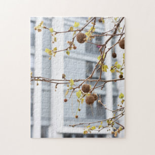Trees in Spring North London Verenigd Koninkrijk Legpuzzel