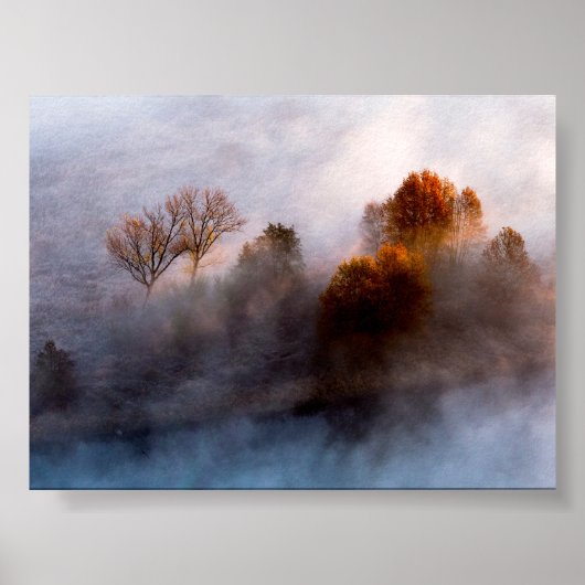 Trees in the morning mist poster (Voorkant)