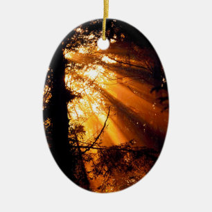 Trees Mystic Sunbeams Olympisch Keramisch Ornament