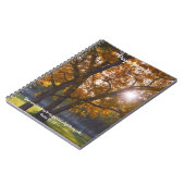 Trees Natuur Light Bible Verse Prayer Journal Notitieboek (Linkerzijde)
