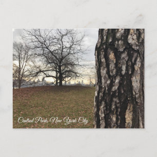 Trees New York NYC Sunrise Central Park Skyline Briefkaart