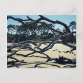 Trees op Jekyll Briefkaart (Voorkant)