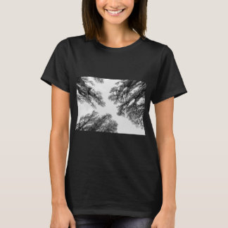 Trees reaching to sky t-shirt