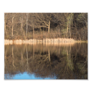 Trees Reeds en Reflections in Marthaler Park Foto Afdruk