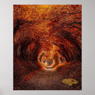 Trees Tunnel - een Licht aan het eind van de Tunne Poster