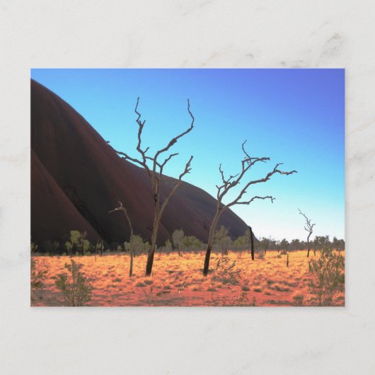 Trees van Ayers Rock Briefkaart (Voorkant)