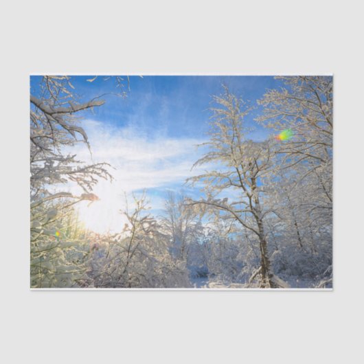 Trees Winter Snow Covered Blue Sky Clouds Scenery Tissuepapier (Voorkant)