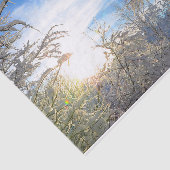 Trees Winter Snow Covered Blue Sky Clouds Scenery Tissuepapier (Detail)