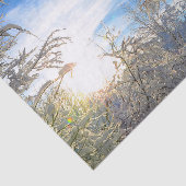 Trees Winter Snow Covered Blue Sky Clouds Scenery Tissuepapier (Detail)