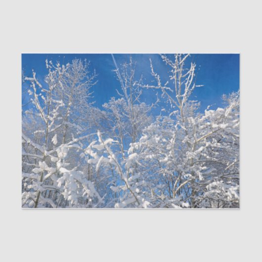 Trees Winter Snow Covered Blue Sky Scenery Tissuepapier (Voorkant)