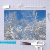 Trees Winter Snow Covered Blue Sky Scenery Tissuepapier (Craft)