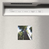 Treetops. Magneet (Insitu (Vaatwasser))