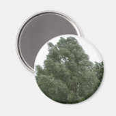 Treetops Magnet Magneet (Voorkant / Achterkant)