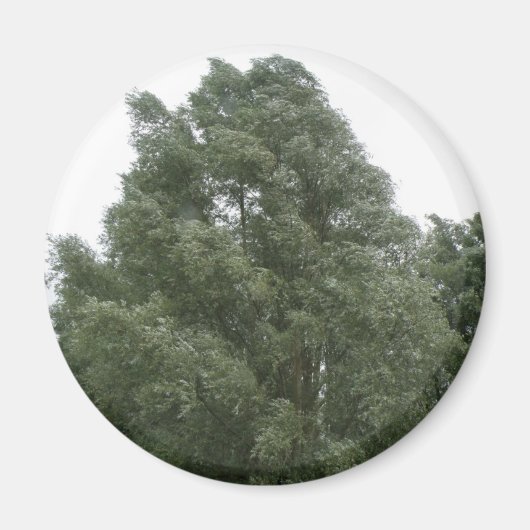 Treetops Magnet Magneet (Voorkant)