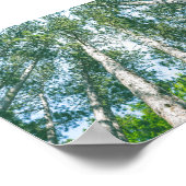 Treetops Natuur Green Tree Canopy Poster (Hoek)