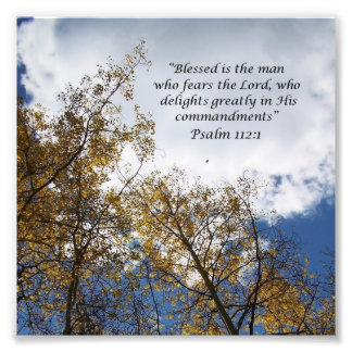 Treetops Psalms 11:23 de Foto van de SchriftFoto d Afdruk
