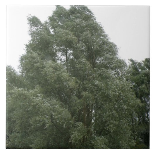 Treetops Tile Tegeltje (Voorkant)