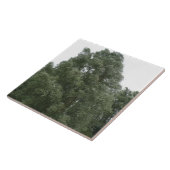 Treetops Tile Tegeltje (Zijkant)