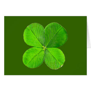 Trèfle de quatre feuilles les cadeaux de Zazzle de