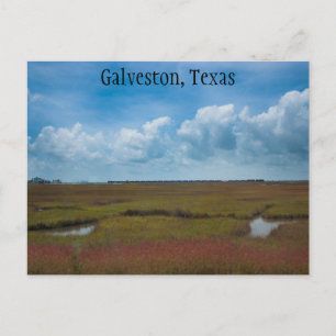 Trein en moerassen in Galveston, Texas ansichtkaar Briefkaart