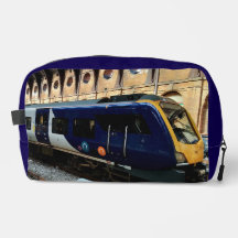 Trein, op het station