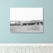 Trein van Oxen en Wagons, voorgelost voor zwarte h Canvas Afdruk (Insitu (Houten vloer))