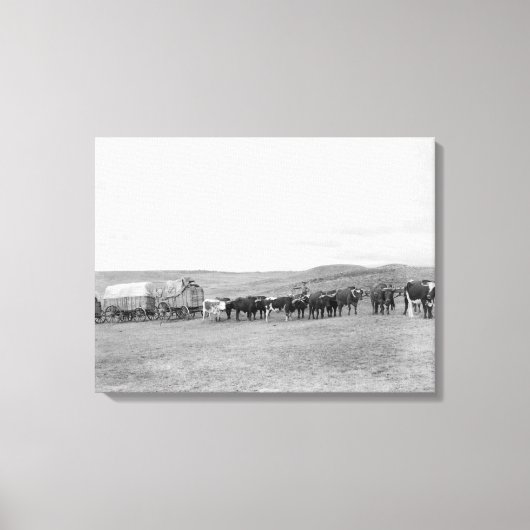 Trein van Oxen en Wagons, voorgelost voor zwarte h Canvas Afdruk (Voorkant)