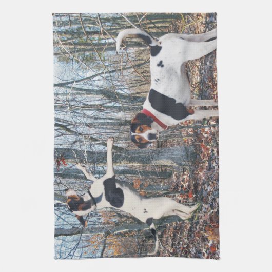 Treing Walker Coonhound Kitchen Towel Theedoek (Verticaal)