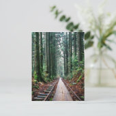 Treinsporen in het bos briefkaart (Staand voorkant)