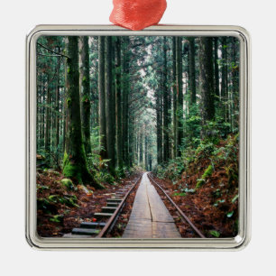 Treinsporen in het bos metalen ornament