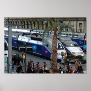 Treinstation Lyon. Parijs, Frankrijk Poster