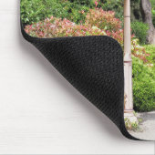 TREINSTATION MUISMAT (Hoek)