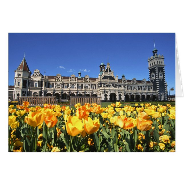 Treinstation van Dunedin (Voorkant Horizontaal)