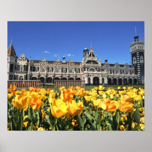 Treinstation van Dunedin Poster