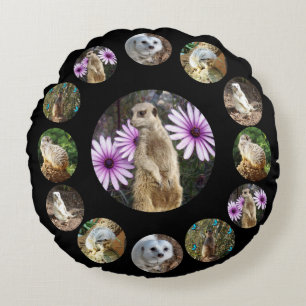 Treize Meerkats Surprise, Coussin Rond
