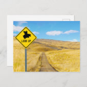 Trek uw ogen op voor varkens. briefkaart (Voorkant / Achterkant)