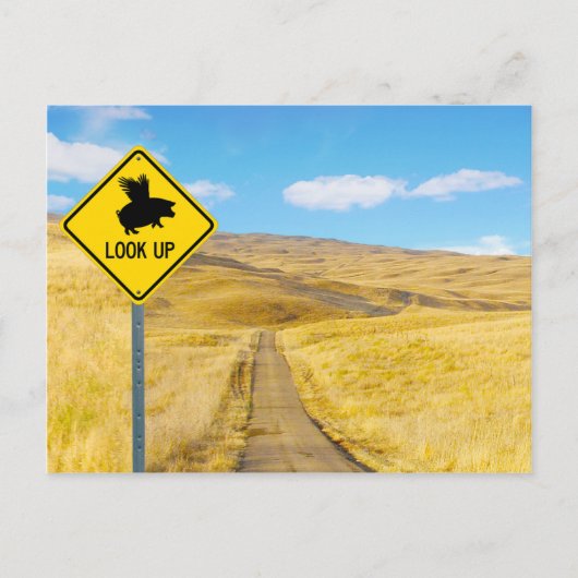 Trek uw ogen op voor varkens. briefkaart (Voorkant)