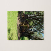 trekker bij de rivier, puzzel (Horizontaal)