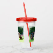 Trekkerbekertje met deksel en stro acryl drinkbeker (Links)