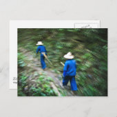 Trekking door het Thaise Oerwoud Briefkaart (Voorkant / Achterkant)