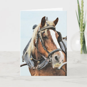 Trekpaard in harnas verjaardag kaart