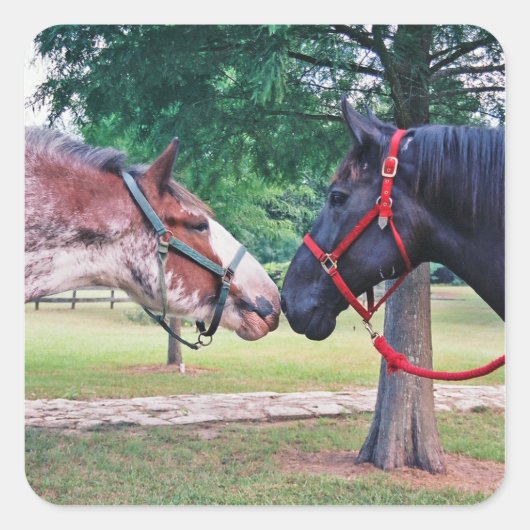 trekpaarden Sticker (Voorkant)