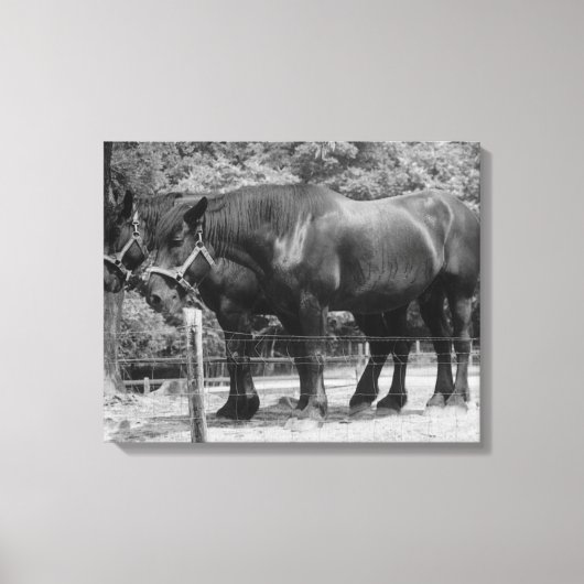 Trekpaardenrusting Canvas Afdruk (Voorkant)
